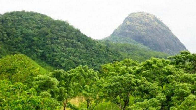 biodiversite-le-togo-prepare-son-7eme-rapport-national