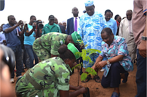 Journée de l’arbre : le gouvernement respectera la tradition, au Centre d’enfouissement d’Aképé