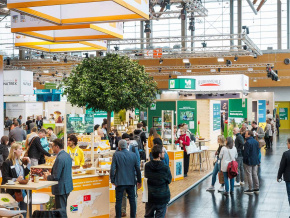 BIOFACH 2024 : le Togo valorisera sa filière bio cette semaine en Allemagne