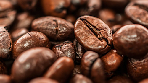 Café-Cacao : nouvelle hausse des exportations en 2024