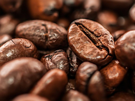 Café-Cacao : nouvelle hausse des exportations en 2024