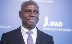 Le FIDA approuve un financement de 20 milliards FCFA pour appuyer le Mifa