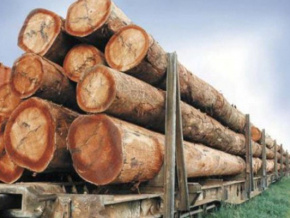 Environnement : la fili&egrave;re bois sensibilis&eacute;e au code forestier