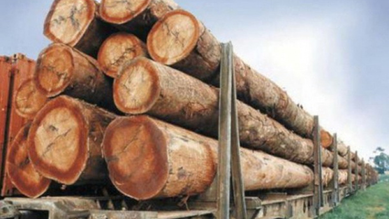 environnement-la-filiere-bois-sensibilisee-au-code-forestier