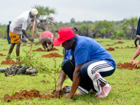 Objectif 10 millions de plants pour la campagne nationale de reboisement 2021