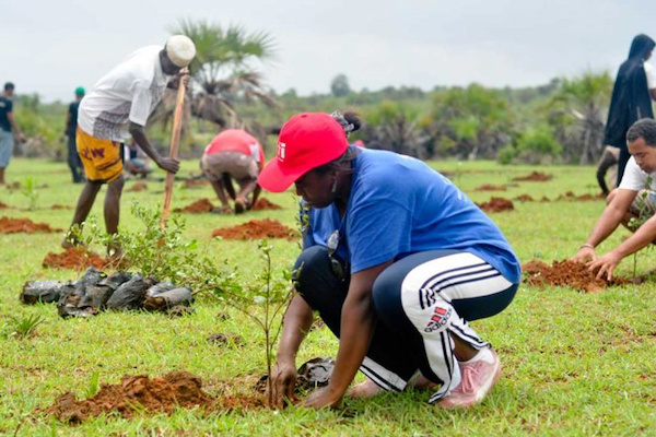 Objectif 10 millions de plants pour la campagne nationale de reboisement 2021