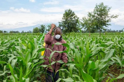 A Lomé, une réunion régionale annoncée sur les engrais et la fertilisation