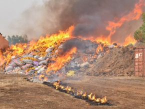 Lutte anti-drogues : plus de 5 tonnes de produits illicites incin&eacute;r&eacute;es