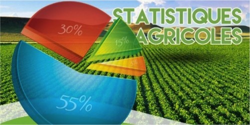 Des experts togolais à Rabat pour développer leurs compétences en matière de statistiques agricoles