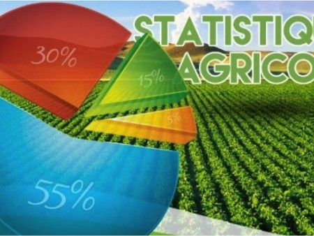 Des experts togolais à Rabat pour développer leurs compétences en matière de statistiques agricoles