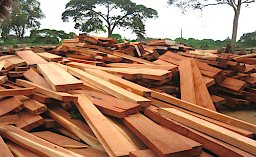 Le Togo se prépare à accueillir les acteurs mondiaux du secteur des bois tropicaux
