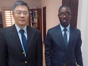 Noel Bataka et Chao Weidong font le tour de la coopération sino-togolaise dans le secteur agricole