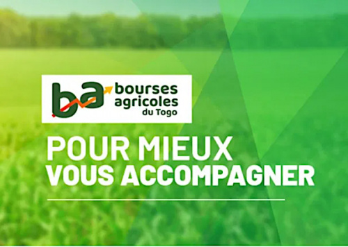 Le Togo se dote d’une bourse agricole et d’une marketplace