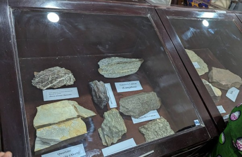 Patrimoine g&eacute;ologique : le Togo ouvre sa premi&egrave;re salle de collection des fossiles et roches