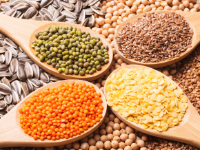 Sécurité alimentaire : une dotation de 13 milliards FCFA pour 2024