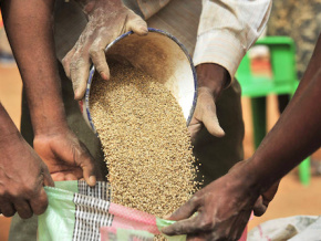 Un financement de la Banque mondiale en faveur du Togo pour renforcer la sécurité alimentaire