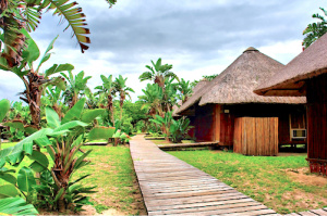 Contribuez à développer le tourisme au Togo ! (Sondage)