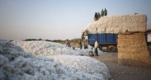 Bénin : la BAD accorde 163 millions d’euros pour la rénovation de la route cotonnière Djougou-Banikoara