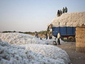 Bénin : la BAD accorde 163 millions d’euros pour la rénovation de la route cotonnière Djougou-Banikoara