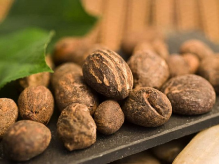 Commerce : les exportations de noix ou amandes de karité suspendues à titre conservatoire