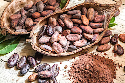 Le cacao ‘Made in Togo’ primé à l’international