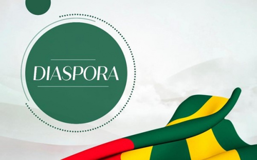 Diaspora : près d’un million de Togolais recensés à l’extérieur en 2022