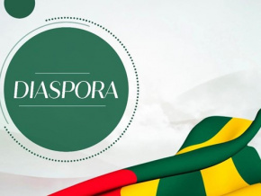 Diaspora : près d’un million de Togolais recensés à l’extérieur en 2022