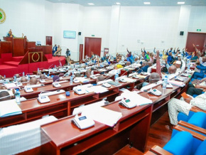 Le Togo ratifie le traité sur la création de l’Agence africaine du médicament