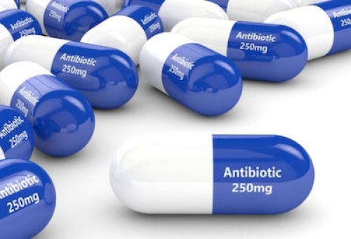 Ouverture à Lomé de la « semaine du pharmacien » consacrée à la lutte contre l’usage excessif des antibiotiques
