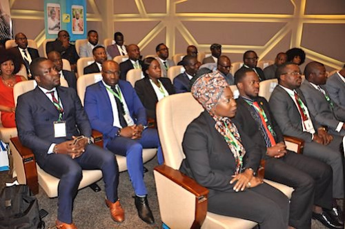 Le Togo lance un agenda estival pour sa diaspora