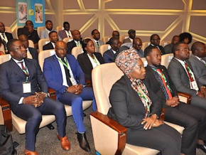 Le Togo lance un agenda estival pour sa diaspora
