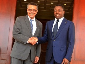 Soutenu par le Togo, l&#039;Ethiopien Tedros Adhanom Ghebreyesus élu à la tête de l’OMS