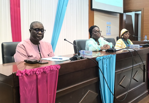 Sant&eacute; : le Togo &eacute;value les performances de son syst&egrave;me sanitaire