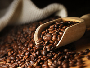 Café : hausse de 55,9% de la production pour la campagne 2021-2022