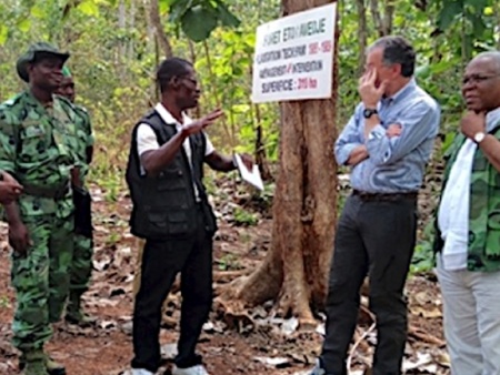 Lomé, hôte en 2019 de la 55ème Session de l’Organisation Internationale des Bois Tropicaux