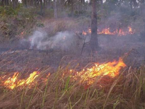 Environnement / Feux précoces : la période autorisée pour 2025-2026