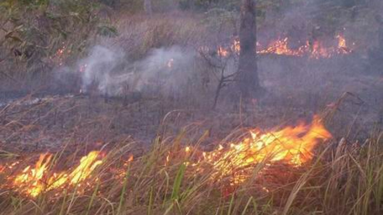 environnement-feux-precoces-la-periode-autorisee-pour-2025-2026