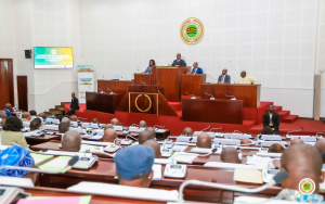 S&eacute;curit&eacute;, &eacute;conomie, social&hellip;, les d&eacute;put&eacute;s en session extraordinaire &agrave; l&rsquo;Assembl&eacute;e nationale