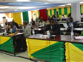 9ème Séance plénière à l’Assemblée Nationale : les ministres de l’Agriculture et du Commerce étaient face aux députés