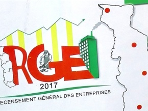 Togo : Démarré le 1er février, le Recensement Général des Entreprises se poursuit jusqu’au 31 mai