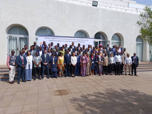 Intoxication au plomb : &agrave; Lom&eacute;, l&rsquo;Afrique coordonne sa riposte