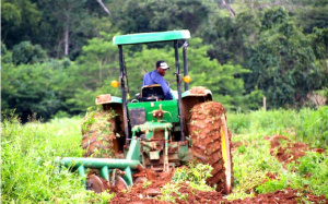 Togo : le PIB bondit de 17,7 % au quatrième trimestre 2024