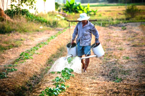 Le gouvernement exhorte (de nouveau) à financer davantage le secteur agricole