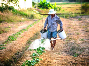 Le gouvernement exhorte (de nouveau) à financer davantage le secteur agricole