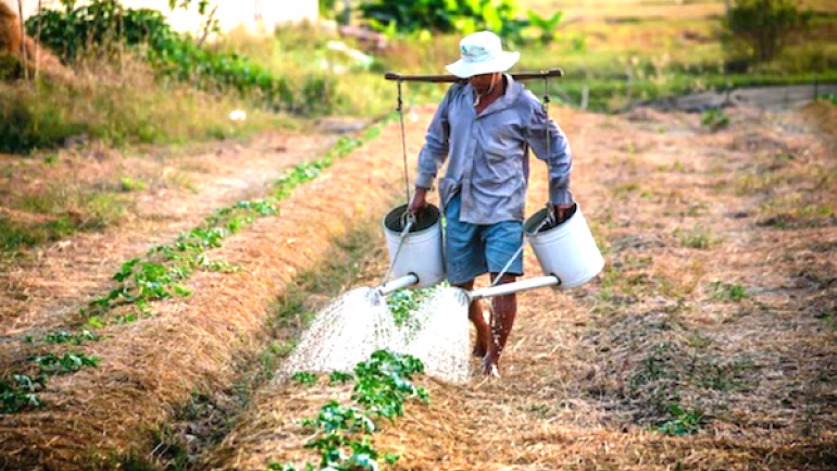 Le gouvernement exhorte (de nouveau) à financer davantage le secteur agricole