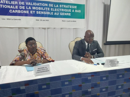 Mobilité électrique : le Togo se dote d’une stratégie nationale à bas carbone