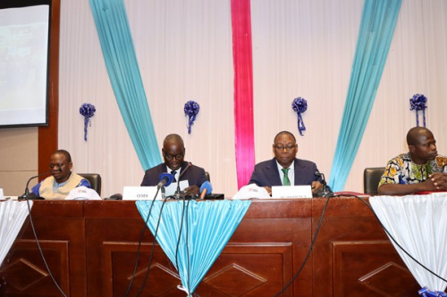 Maladies tropicales n&eacute;glig&eacute;es : le Togo veut &eacute;liminer quatre nouvelles pathologies d'ici 2030