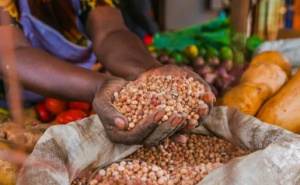 Sécurité alimentaire : deux ans après, les résultats encourageants du programme FSRP