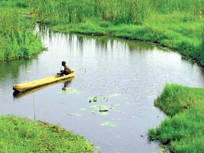 Un site du Togo intègre le Réseau mondial des réserves de la biosphère de l’Unesco