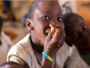 La malnutrition en recul grâce aux projets dans le secteur agricole et aux cantines scolaires